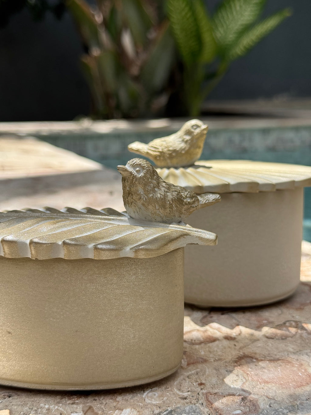Tarro Aves del Caribe
