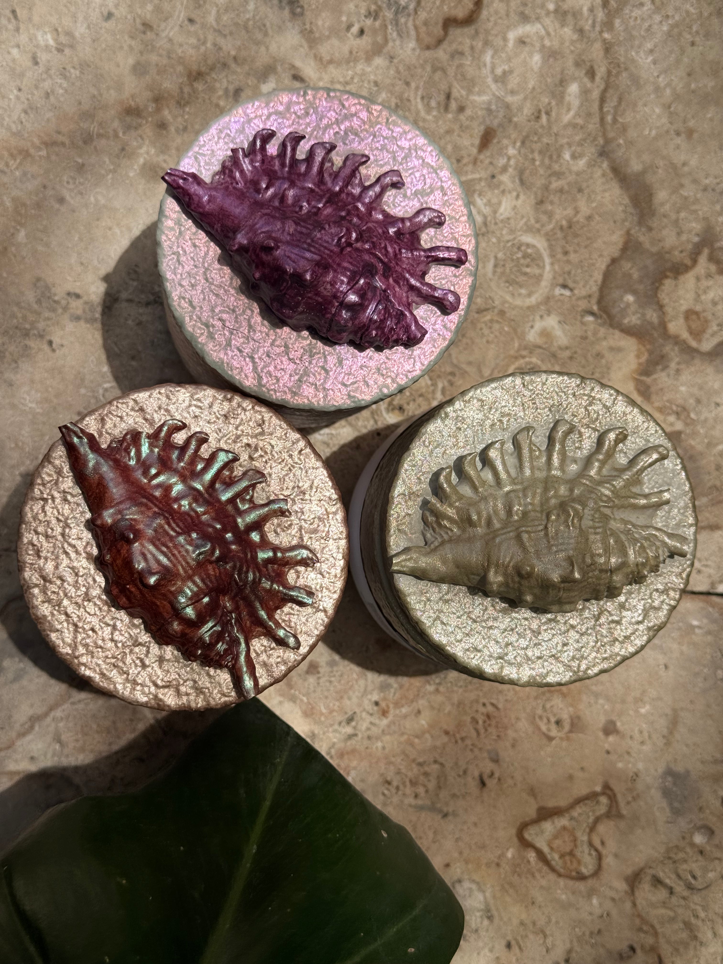 Tarro caracola